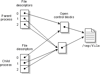 fig: ./images/dupfd.gif
